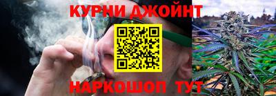 гашик Волгодонск