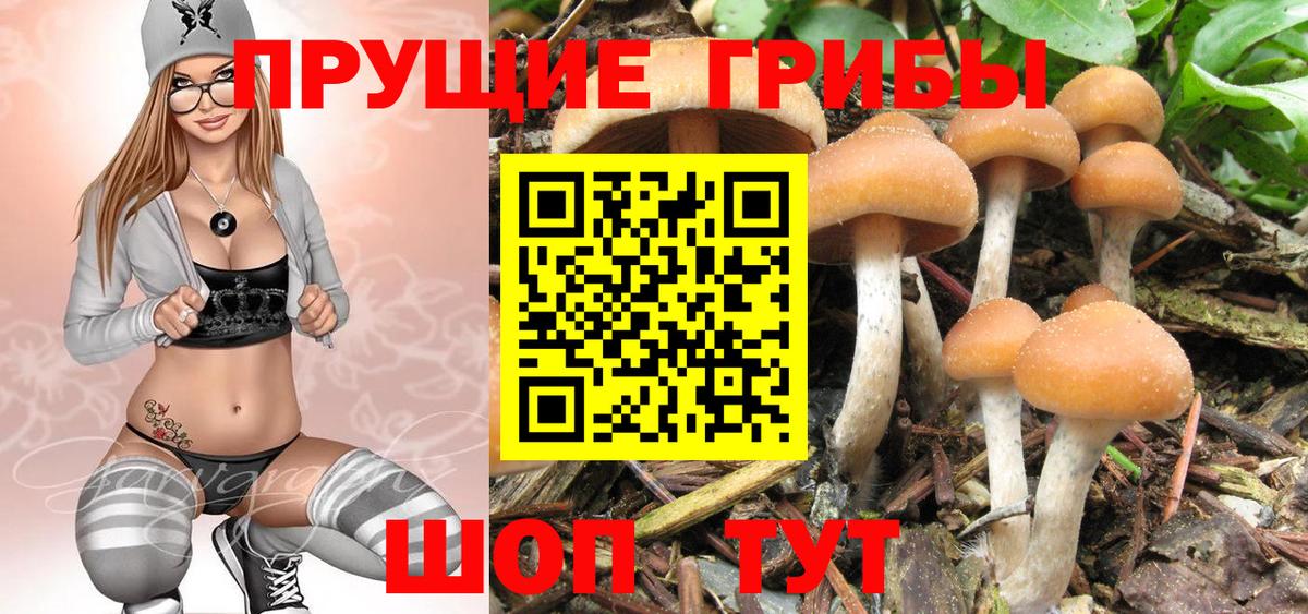 купить закладку  Галлюциногенные грибы ЛСД  Вход с VPN  Муром 